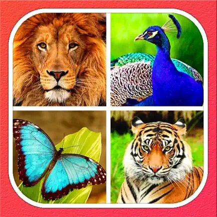 Animals Learning Читы