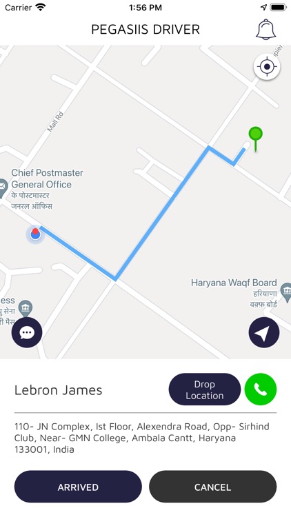Pegasiis Driver screenshot-4