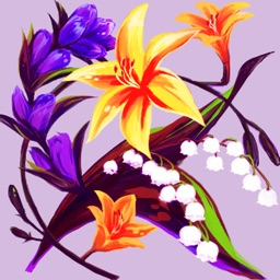 山の花 入笠山 By Ulti Mate Project Company 山の花 入笠山 By Ulti Mate Project Company