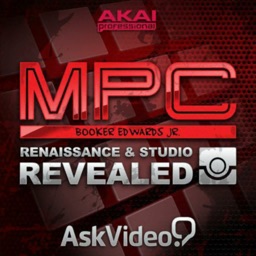 Renaissance and Studio Reveal