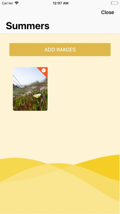 Aptech Preschool - T