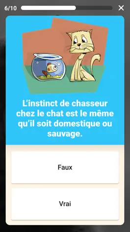 Game screenshot Speez - Les chats apk