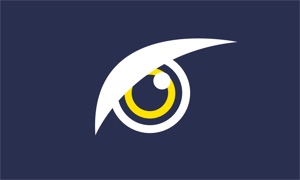 OwlSight - Video Surveillance