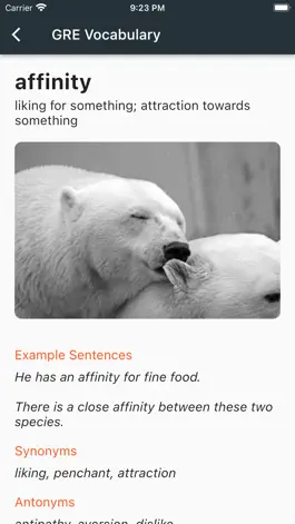 Game screenshot GRE Visual Vocabulary hack