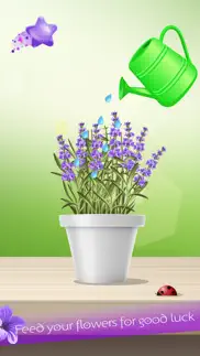 lucky lavender iphone screenshot 4