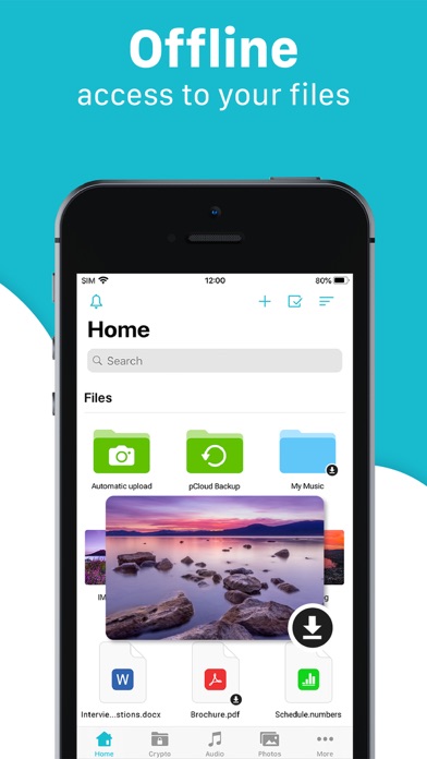 pCloud - Cloud Storage screenshot1