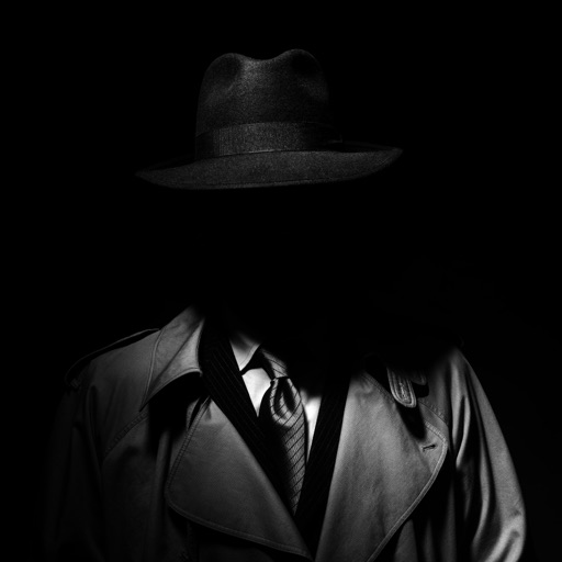 The Missing Spy Download