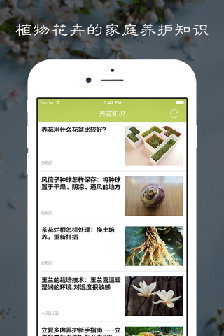 花草集 - 你的家庭盆栽多肉植物养护专家 - náhled