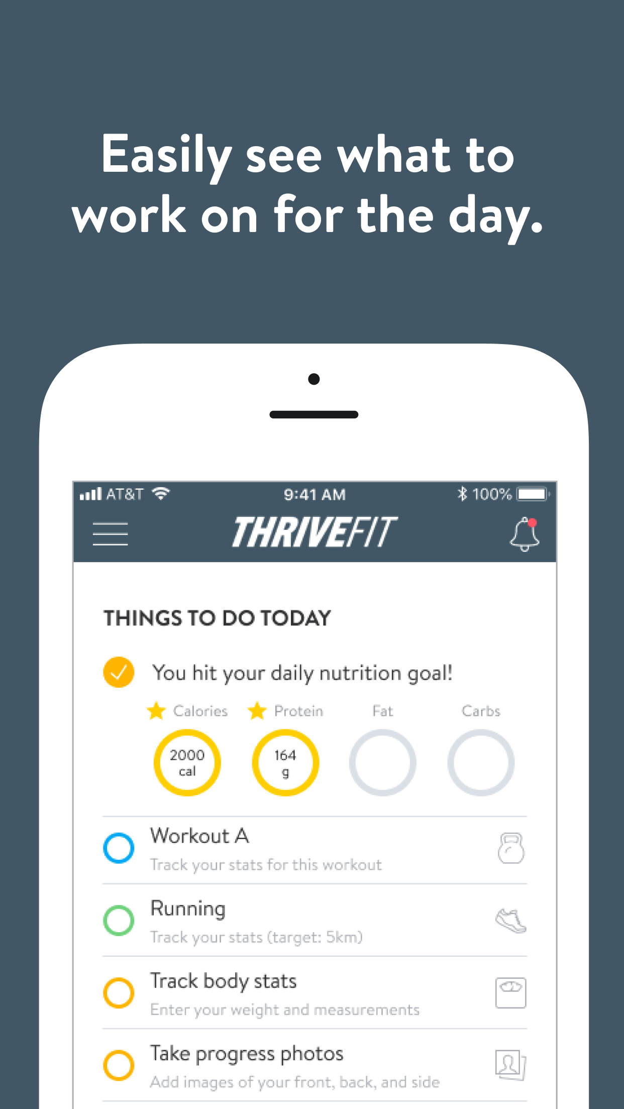 Thrive Fit Training