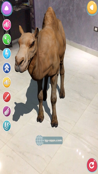 AR for Kids Animals Dinosaurs Screenshot