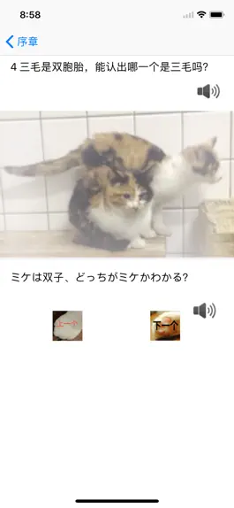 Game screenshot 三毛猫 hack