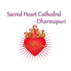 Sacred Heart Cathedral icon