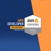 AWS DVA-C01 Certification icon