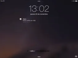 Palbin screenshot 6