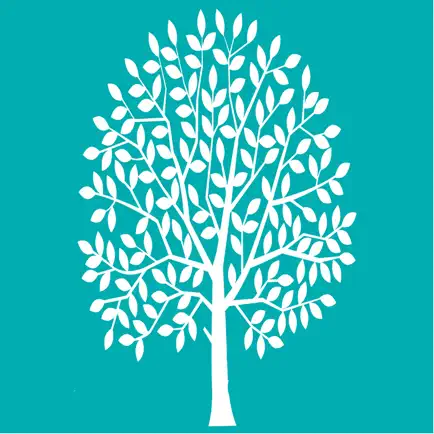 reCentre Health Читы