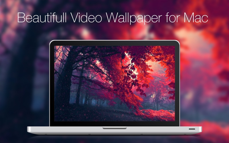 Live VideoWall Screenshot
