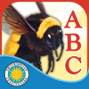Alphabet of Insects - Oceanhouse Media