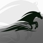 Ride Up - Equine Journal app download