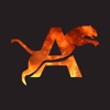 Arunachala & Co icon