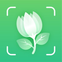 PLANTit - Plant Identifier messages.notwork