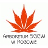 Arboretum w Rogowie icon