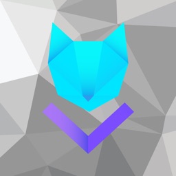 Sapheer - Compte Pro en ligne