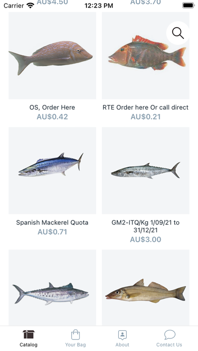 Saltwater Online Screenshot