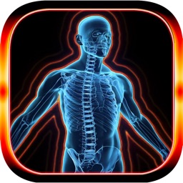 Immune System Quiz & Games