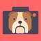 Puppify lets you edit puppies into your pictures