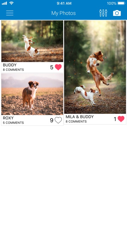 Tractive Pet Photos Gallery screenshot-6