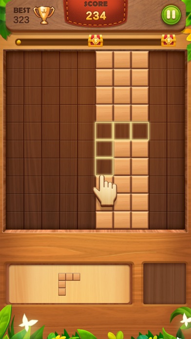 Block Puzzle: Wood Brain Games Screenshot
