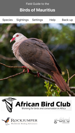 Birds of Mauritius