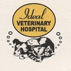 Ideal Vet