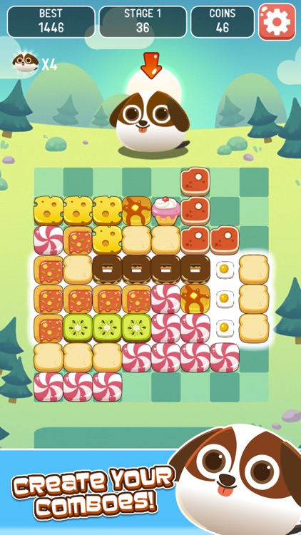 Pet Picnic