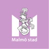 Konst i Malmö icon
