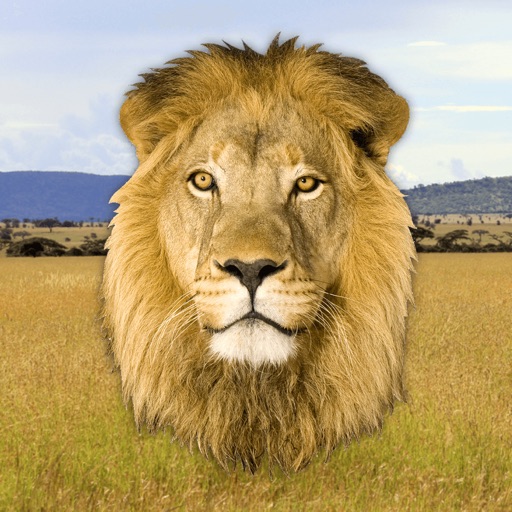 Roar - Lion Sounds Icon