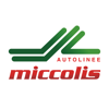 Miccolis Autolinee