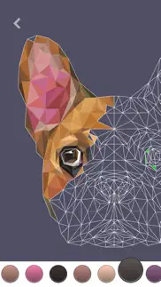 polygo - lowpoly coloring book айфон картинки 4