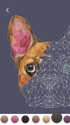 PolyGO - LowPoly Coloring Book iPhone image 4