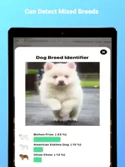 dogphoto - race de chien iPad Captures Décran 3
