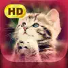 Cute Pics App Negative Reviews