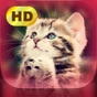 Cute Pics app download