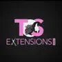 TSEXTENSIONS