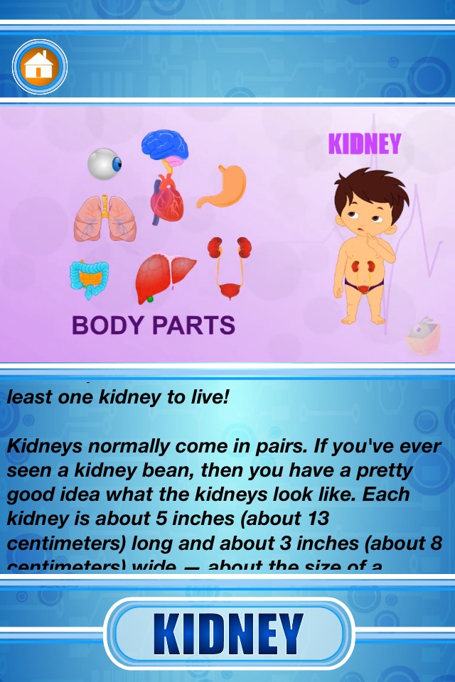 Human Body - Internal Organs screenshot 4