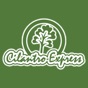 Cilantro Express app download