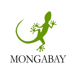 Mongabay Newscast