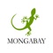 This is the most convenient way to access the Mongabay Newscast