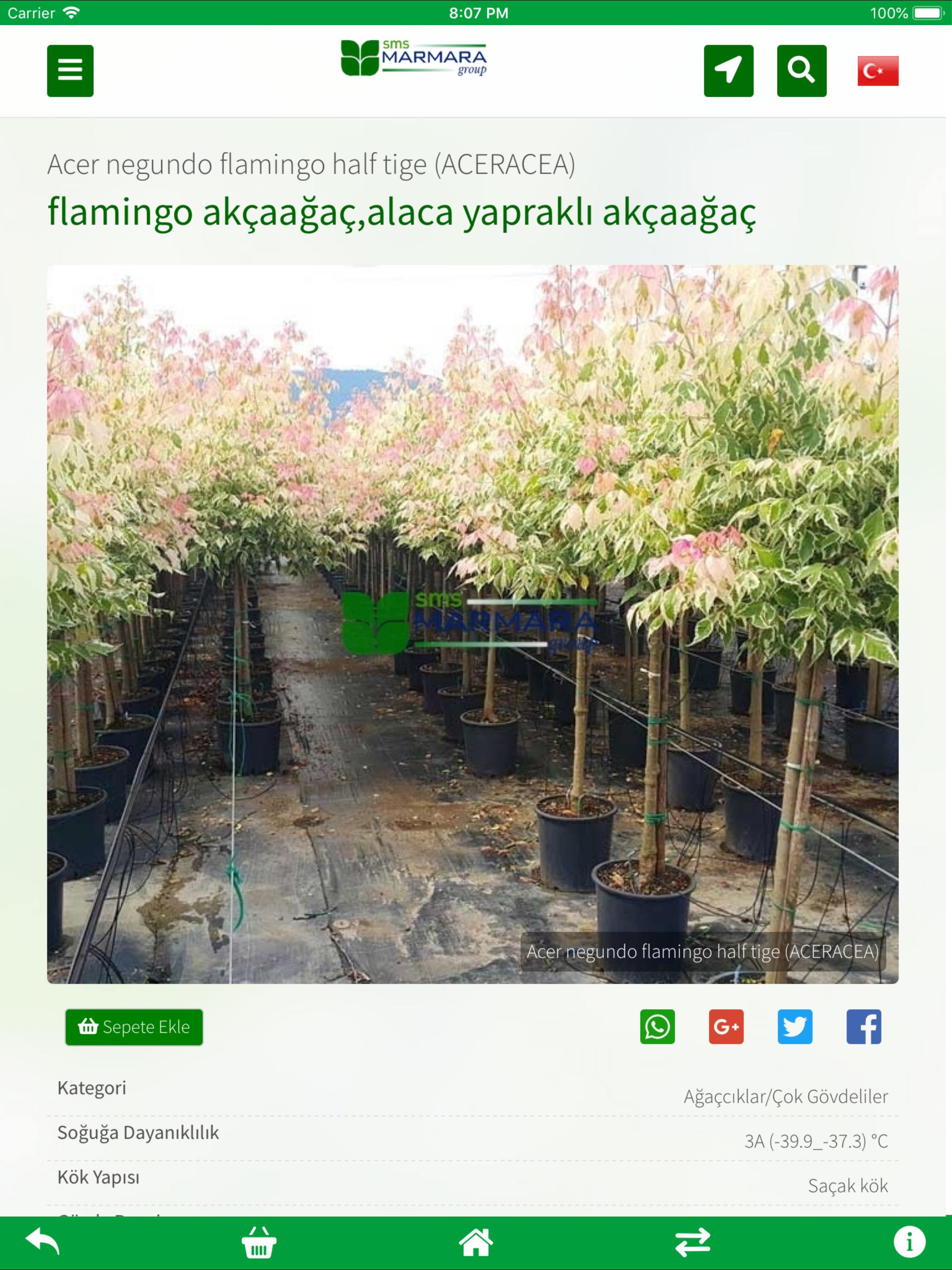Bitki Kataloğu screenshot 5