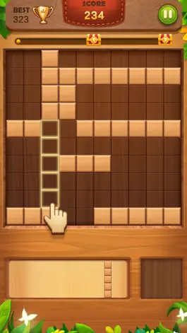 Game screenshot Block Puzzle: Wood Brain Games hack