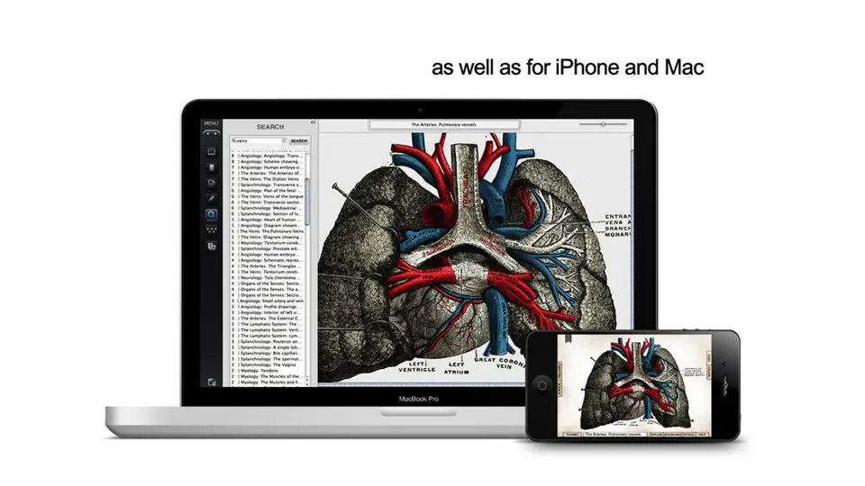 Скриншот Gray's Anatomy Student Edition на iPhone 5